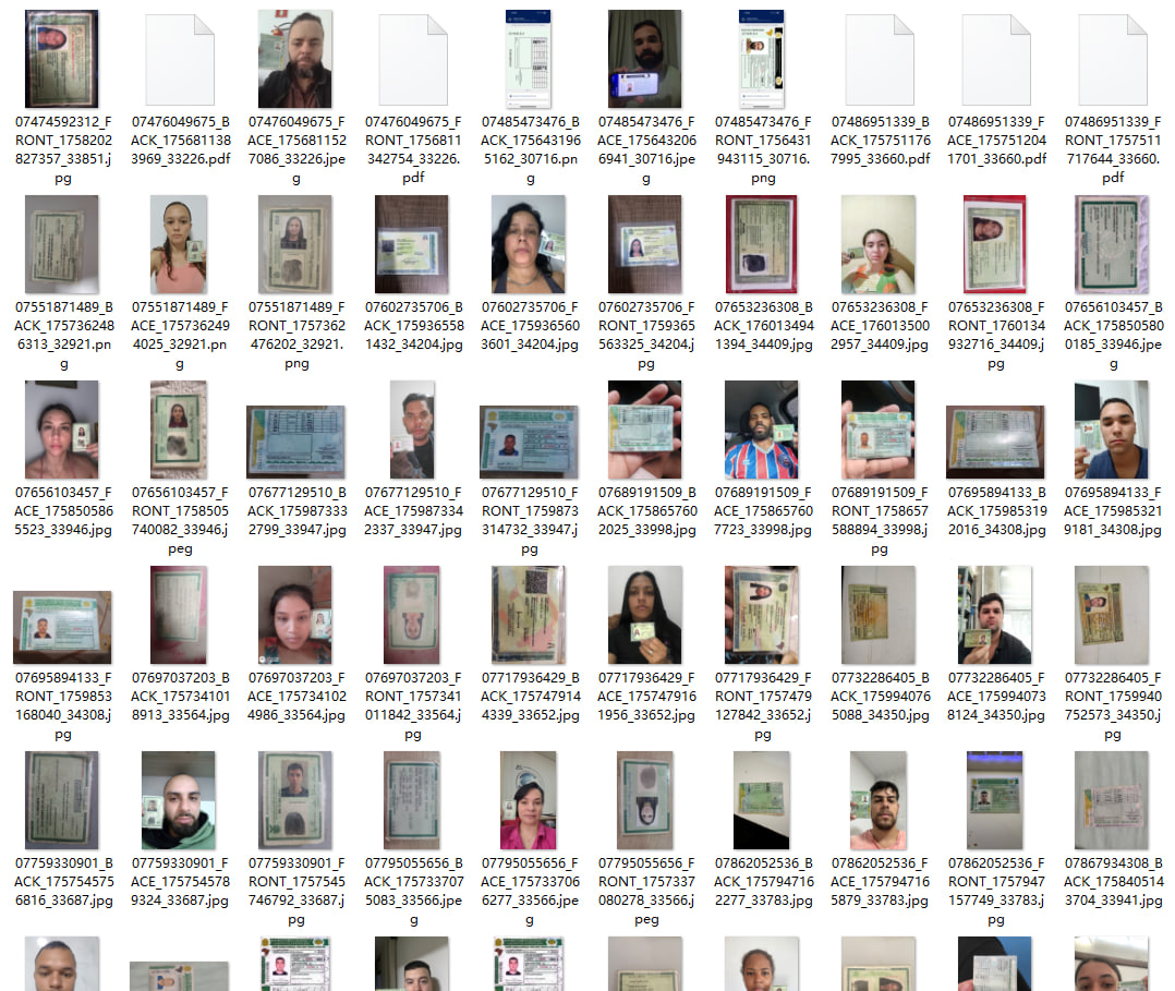 巴西:ID/DL 手持+正反(BR:ID/DL handheld+front&back)