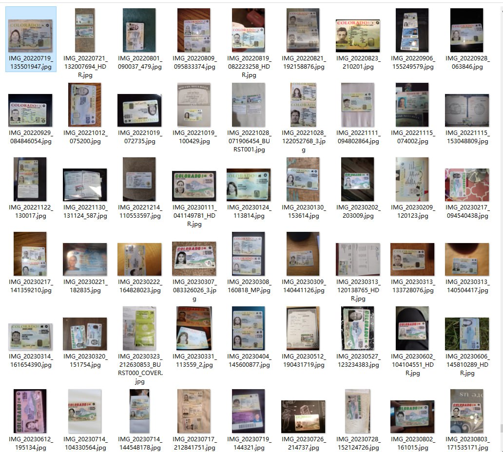 美国:CO州DL正面(USA:CO state DLs front only)